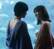 深海の証明