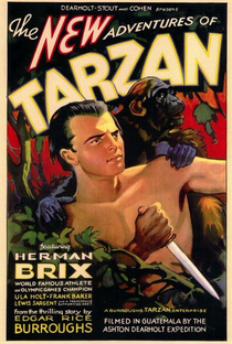 As Novas Aventuras de Tarzan - Poster / Capa / Cartaz - Oficial 1