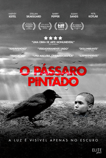 O Pássaro Pintado - Poster / Capa / Cartaz - Oficial 4