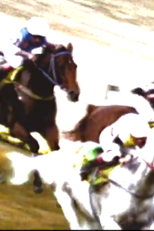 White Poney (White Poney)