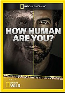 Quão Humano Você É? (How Human Are You?)