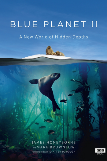  de Série Planeta Azul II (2017)
