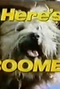 Boomer (1ª Temporada) - Poster / Capa / Cartaz - Oficial 1