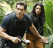 Working Vacation