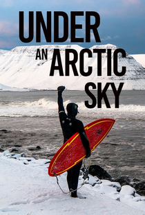 Under an Arctic Sky - Poster / Capa / Cartaz - Oficial 3