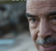El timbre