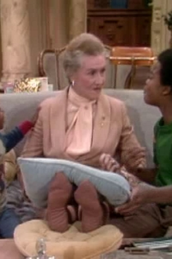 Poster de Episódio Mother's Last Visit (1978)