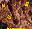 Bigfoot Took Her