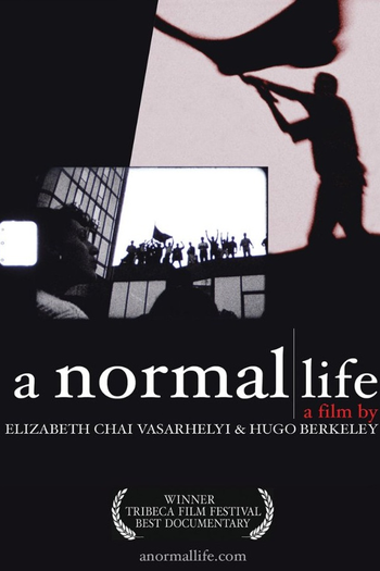 Poster de Filme A Normal Life (2003)