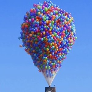 Foto de perfil de Doris S.