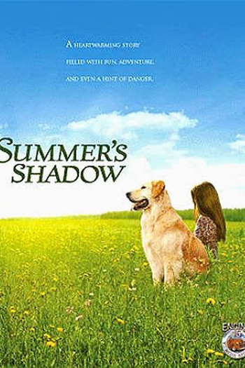 Poster de Filme  A Sombra de Summer (2013)