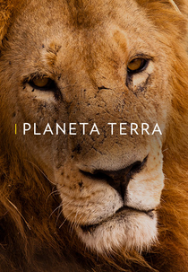 Planeta Terra (Planeta Terra)