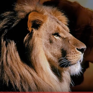 Foto de perfil de Maxi