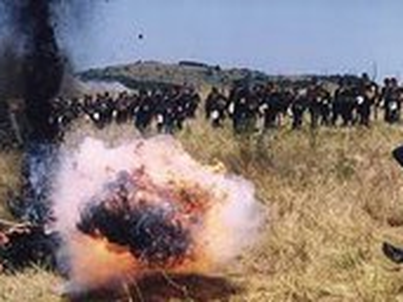 Foto 8 de The Turkish Gambit