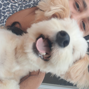 Foto de perfil de yllah