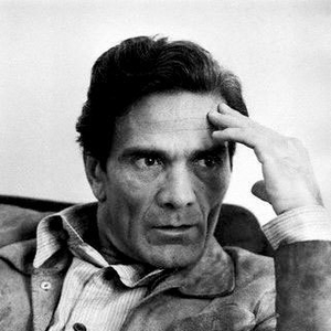 Foto de perfil de Newton Navarro