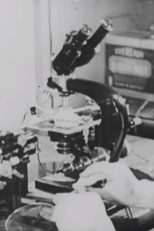 Miocárdio em Cultura - Potenciais de Ação (Miocárdio em Cultura - Potenciais de Ação)