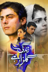 Zindagi Gulzar Hai (Zindagi Gulzar Hai)