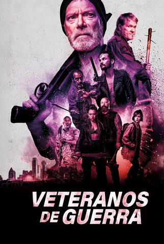 Poster 4 de Filme Veteranos de Guerra (2020)