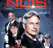NCIS: Investigações Criminais  (12ª Temporada)