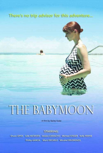 The Babymoon - Poster / Capa / Cartaz - Oficial 2