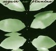 Seguir as Plantas