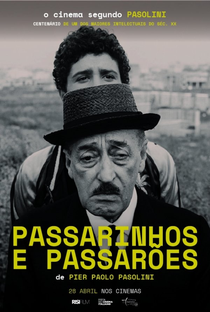Gaviões e Passarinhos - Poster / Capa / Cartaz - Oficial 2