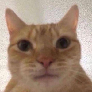 Foto de perfil de Lucas