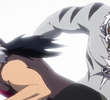 The Tiger's Identity
