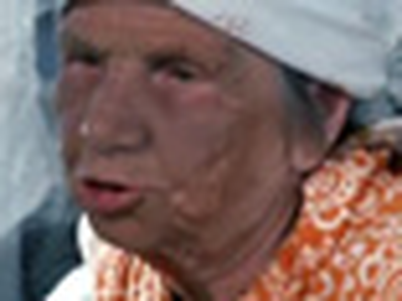 Foto 10 de The Red Snowball Tree 