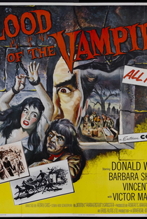 A Noite do Vampiro - Poster / Capa / Cartaz - Oficial 3