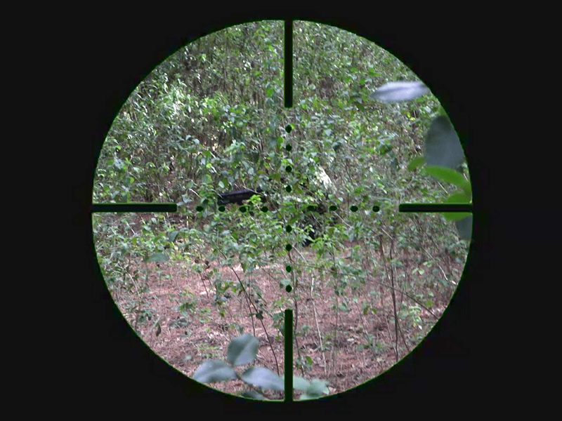 Foto 3 de Sniper Português