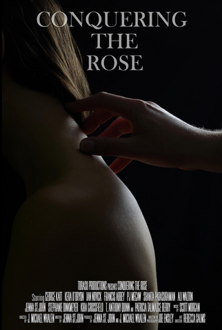 Poster 1 de Filme Conquistando a Rosa (2012)