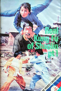 Real Kung Fu of Shaolin Pt 1 - Poster / Capa / Cartaz - Oficial 1