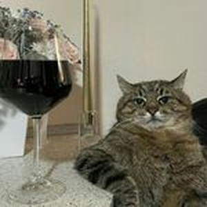 Foto de perfil de soladinho55