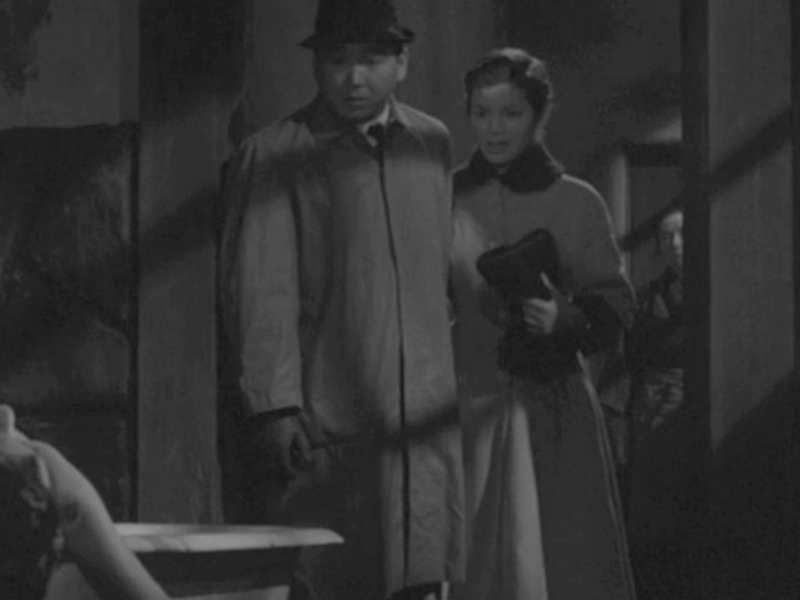 Foto 4 de Vampire Moth