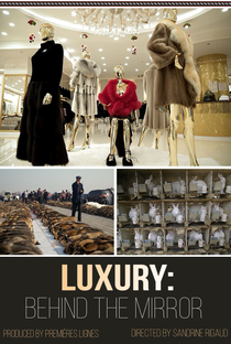 Luxury: behind the mirror - Poster / Capa / Cartaz - Oficial 1