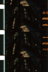 Rue des Teinturiers (Rue des Teinturiers)