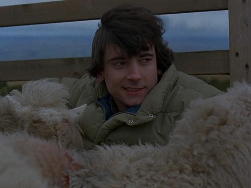 Foto 3 de Um Lobisomem Americano em Londres