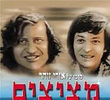 Metzitzim