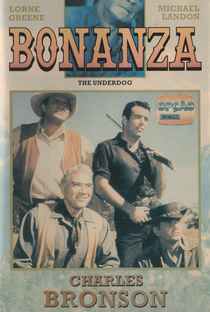 Bonanza - Poster / Capa / Cartaz - Oficial 1