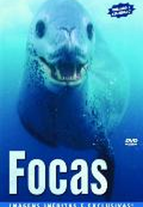 Focas (Leopard Seals: Lords of the Ice)