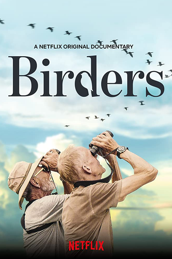  de Curta Passarinheiros (2019)