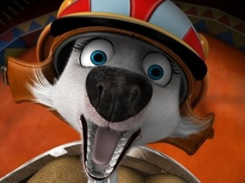 Foto 4 de Cãestronautas