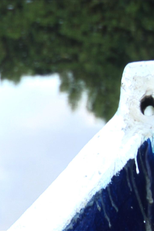 Mangues e nós (Mangues e nós)