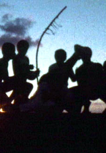 Gato/Capoiera (Gato/Capoeira)