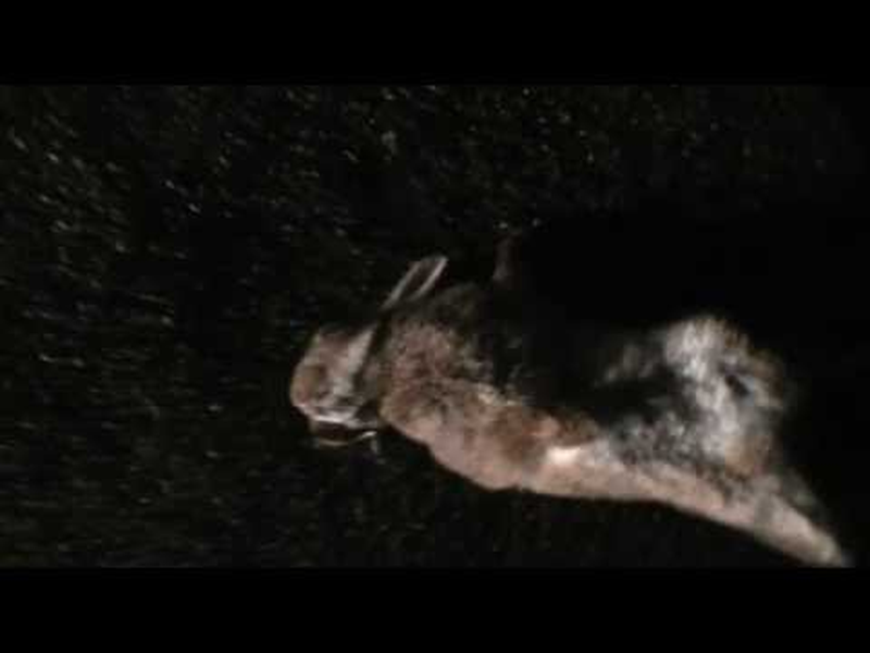 Foto 1 de No Through Road