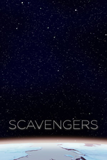 Escaravelhos (Scavengers)