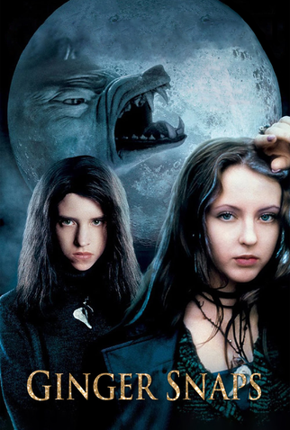 Poster 14 de Filme Possuída (2000)