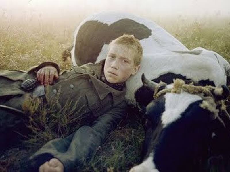 Foto 6 de Vá e Veja